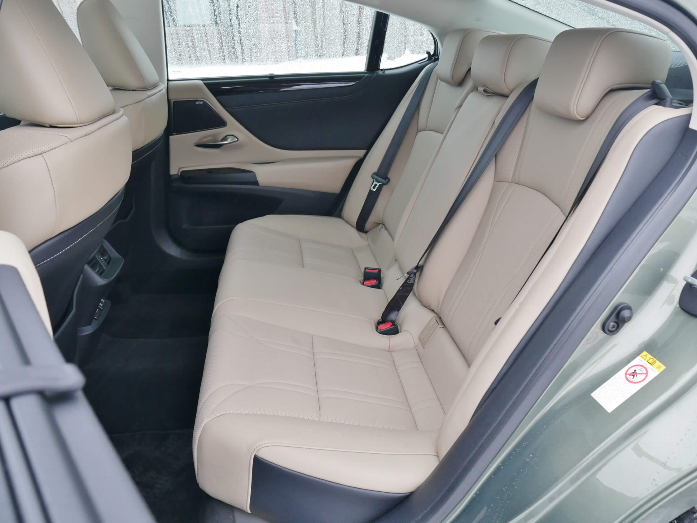 2019 Lexus ES 350: 39.2" of commodious adult rear seating